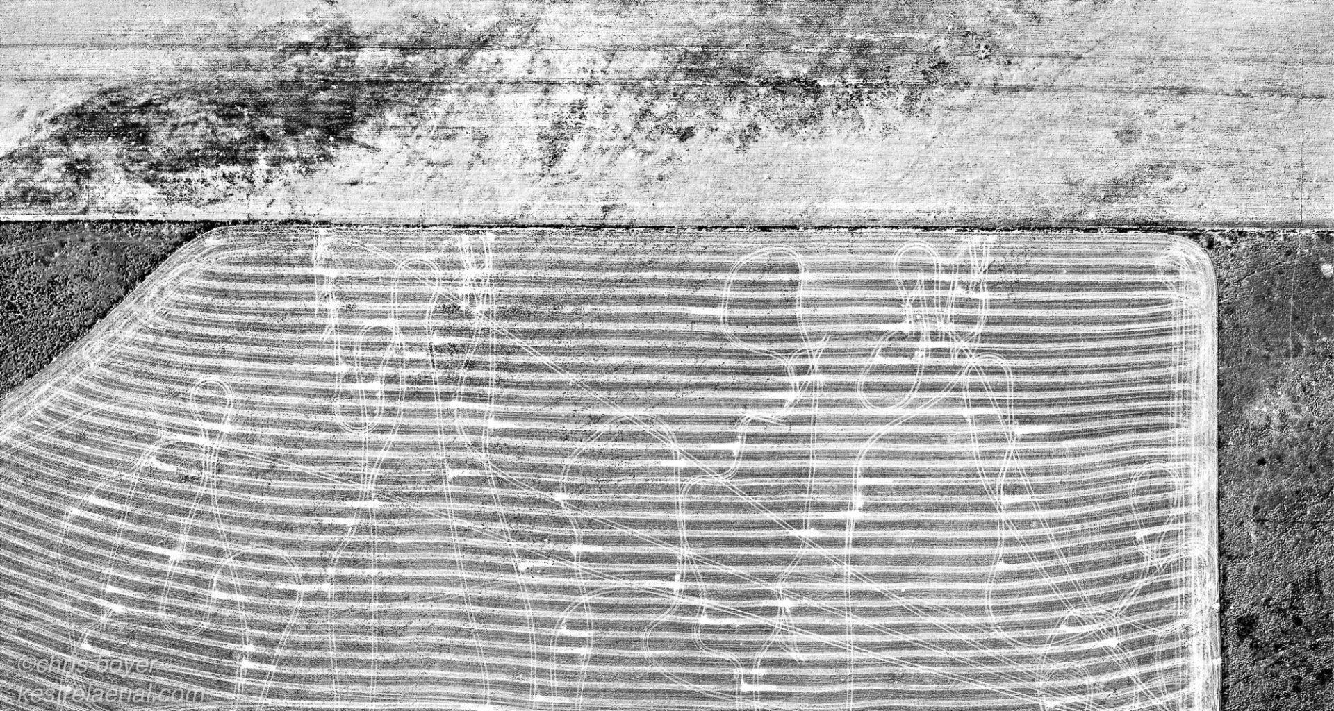 Harvest Patterns, Park County, Montana