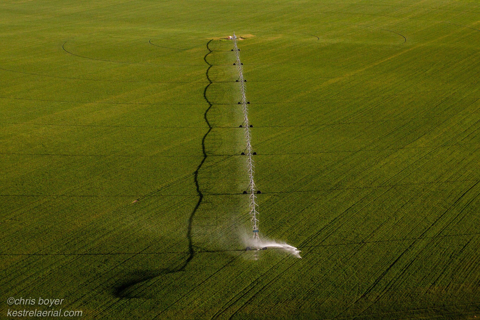 Irrigation