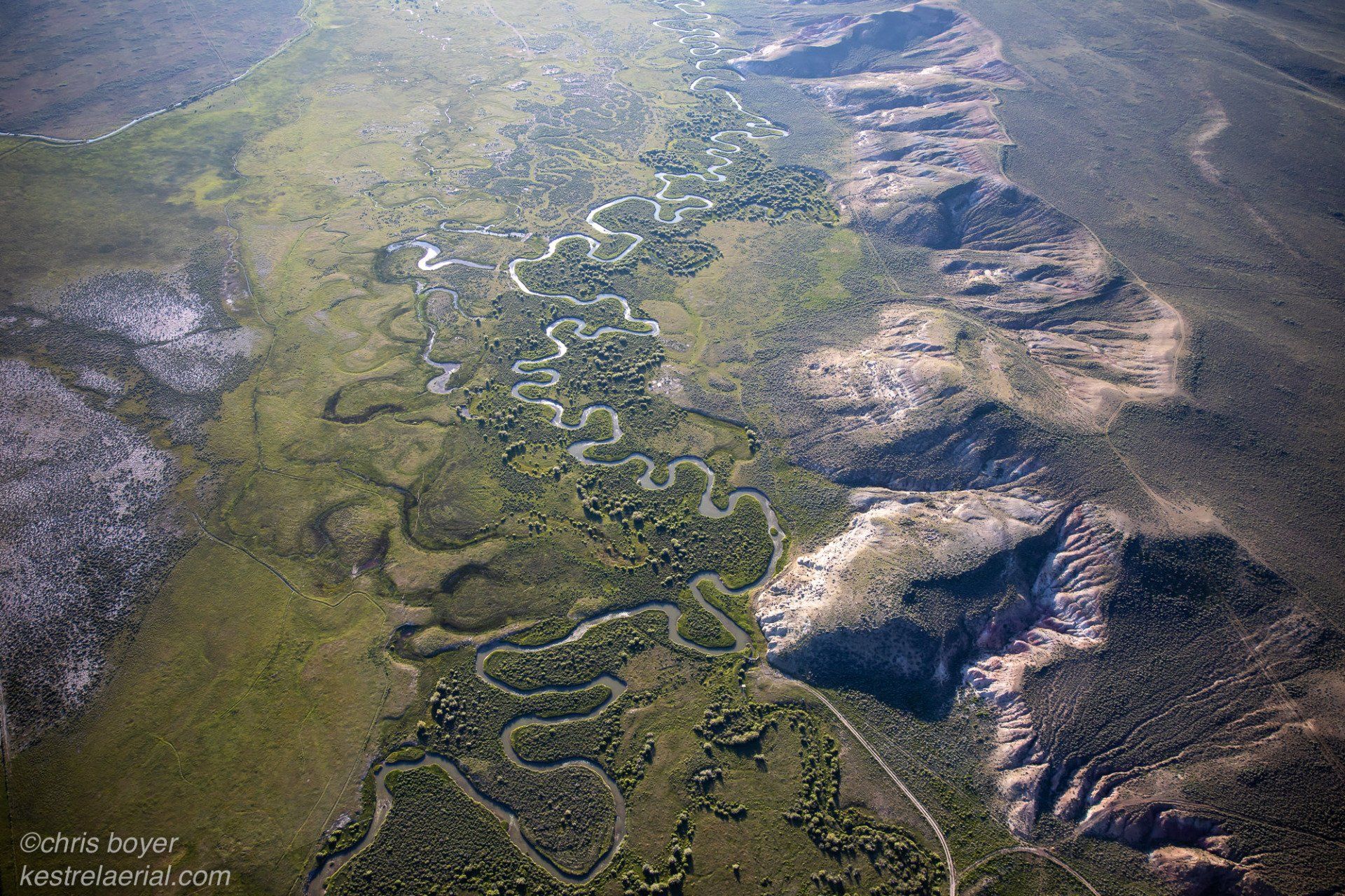 Riparian Wetlands