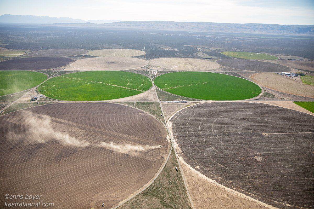 Farming in Orovada, 20 mi. east of Thacker Pass
