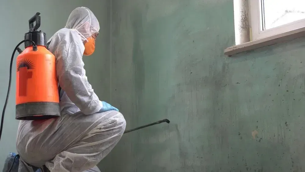 En person i beskyttelsesdragt og åndedrætsværn bruger en spraypumpe til at behandle en muggen væg i et rum.