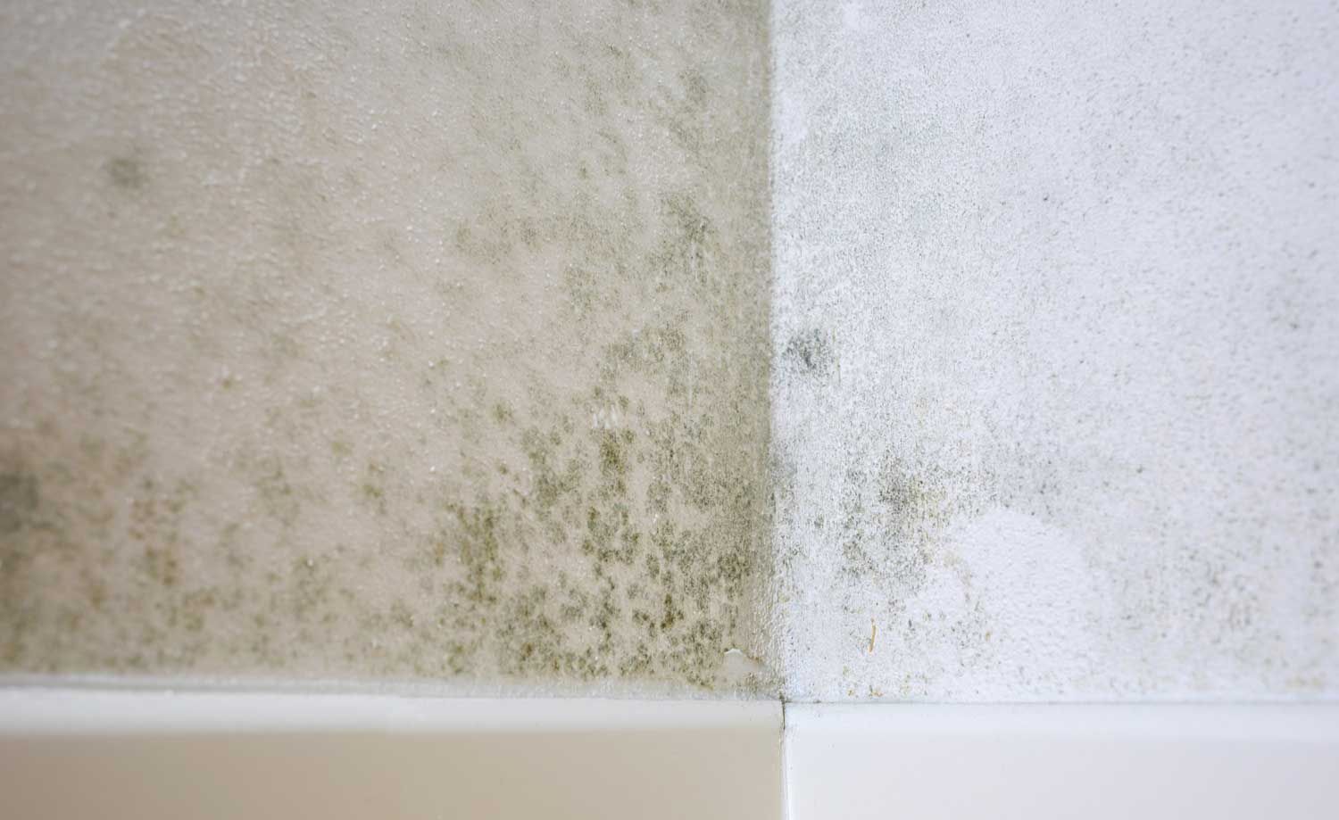 Muggen, plettet væg delt mellem beige og hvid maling og viser fugtskader nær bunden.