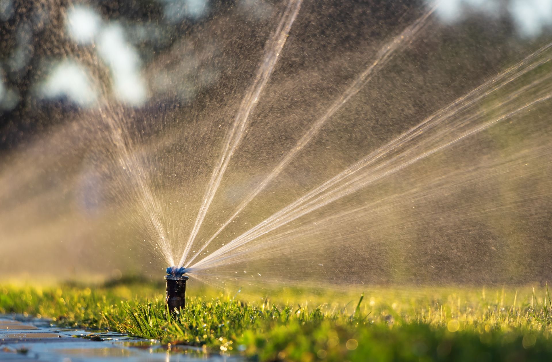 A sprinkler sprays multiple jets of water over a green lawn in bright sunlight.
