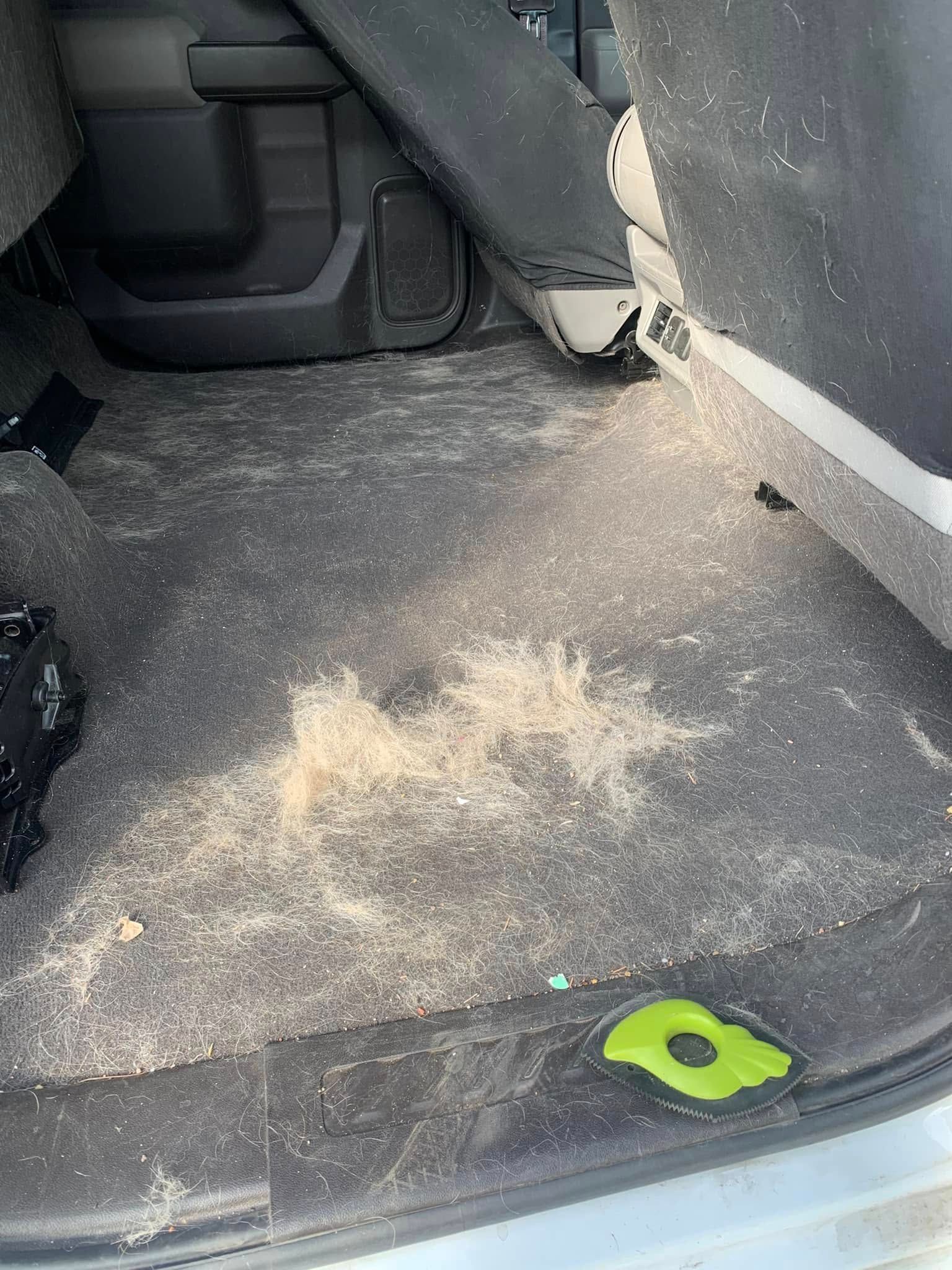 Dusty car trunk floor with scattered light-colored debris and a green tool near the edge