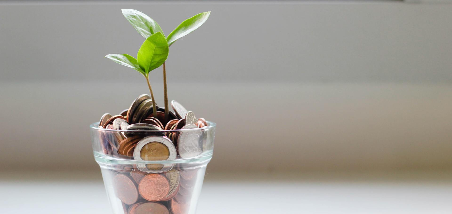 A glass pot filled with coins has a plant growing out of it, symbolizing financial growth.