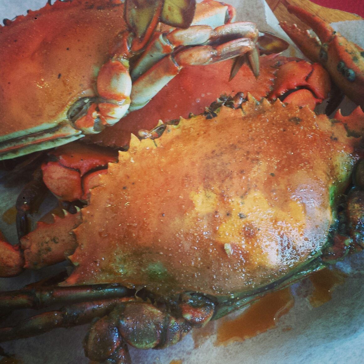 A close up of a crab on a plate