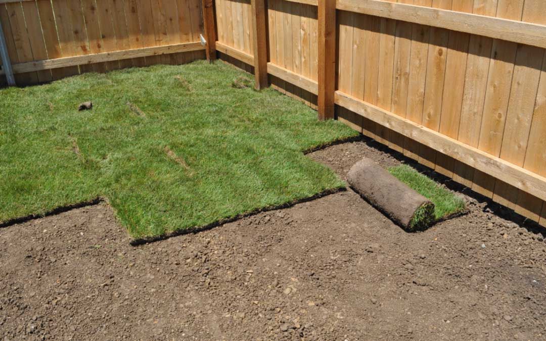Installing Sod — New Castle, DE — Ayala Landscaping