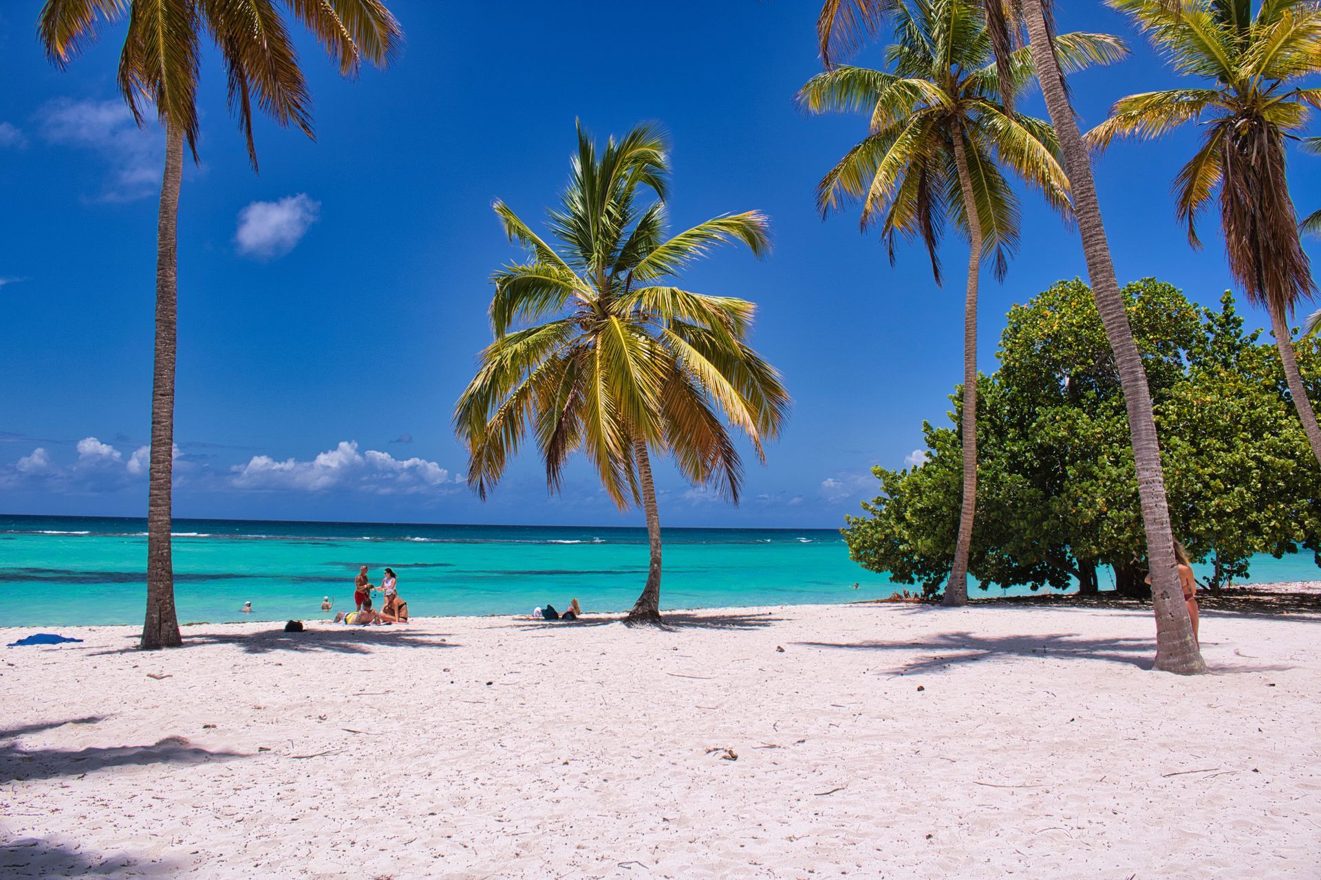 Sunny tropical beach with palm trees, turquoise water, and two people relaxing on the white sand.