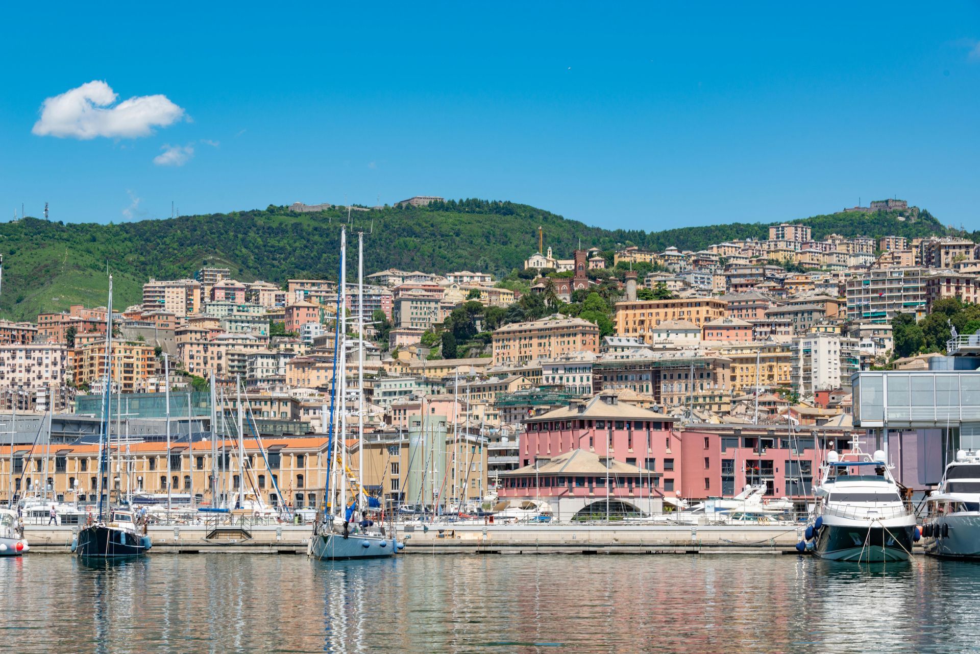 Boats docked in a harbor with a dense city skyline built into a green hillside under a clear blue sky.