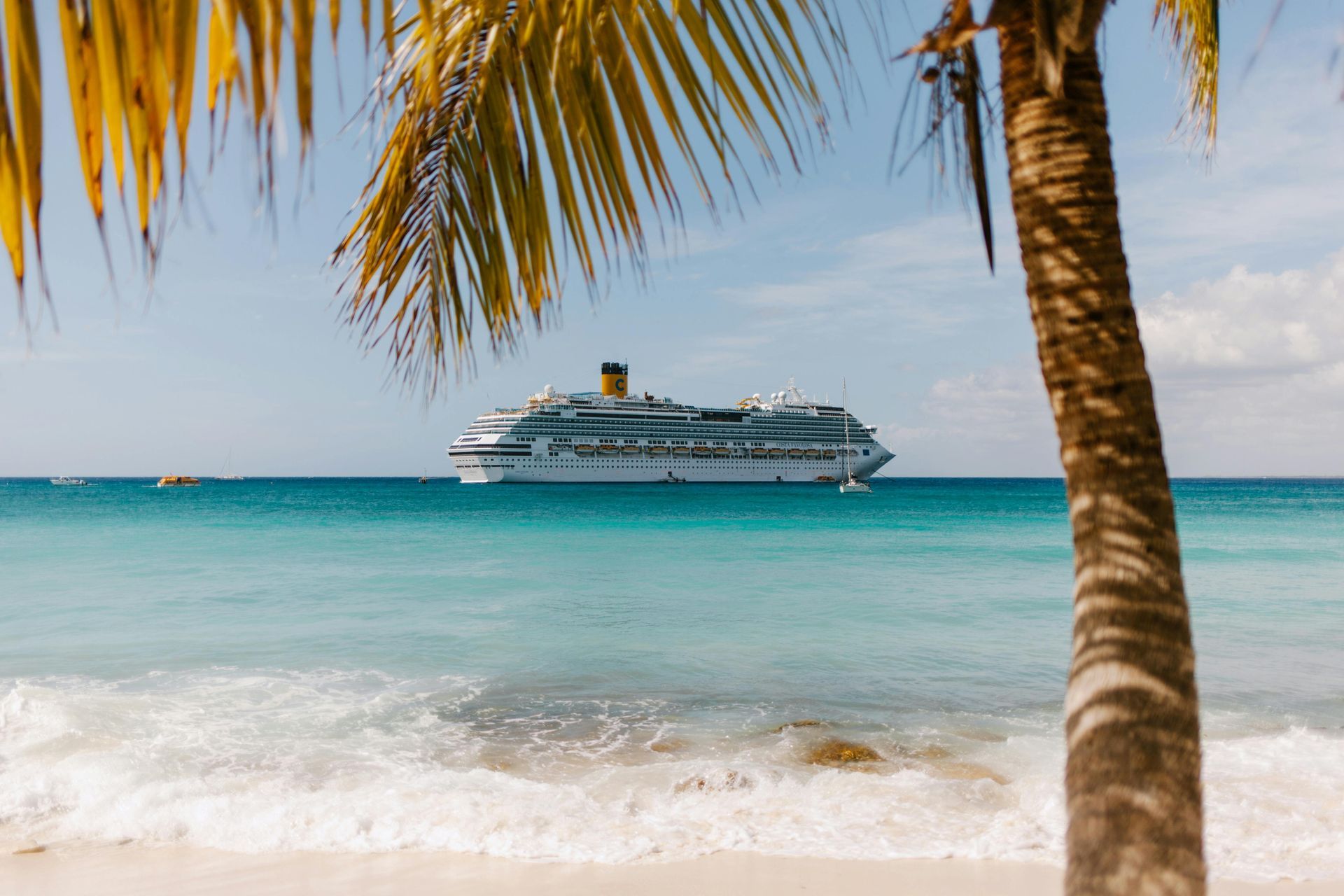 A large cruise ship sits on the horizon of a turquoise ocean, framed by a palm tree in the foreground.