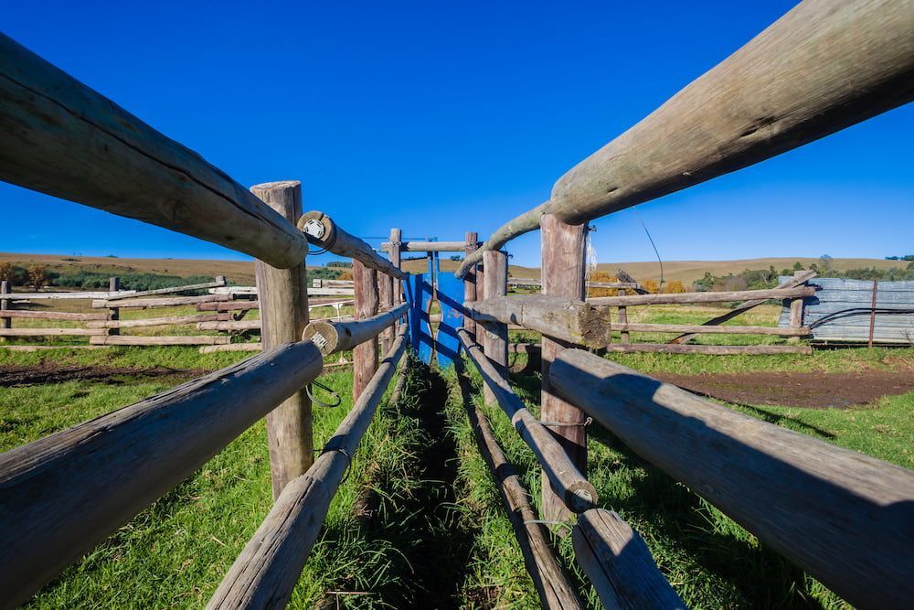 A Wooden Fence Surrounds A Grassy Field With A Blue Sky In The Background — D.T. Fencing In Bakers Creek, QLD