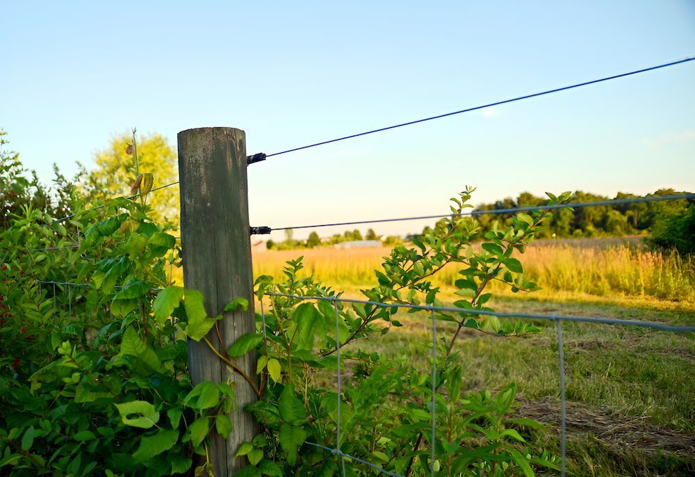 A Wooden Post With A Wire Fence Surrounding It In A Field — D.T. Fencing In Bakers Creek, QLD
