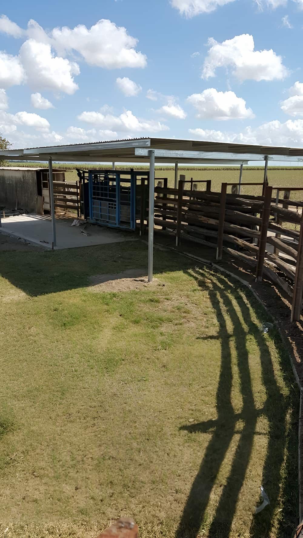 A Fenced In Area With A Canopy Over It And A Shadow On The Grass — D.T. Fencing In Bakers Creek, QLD