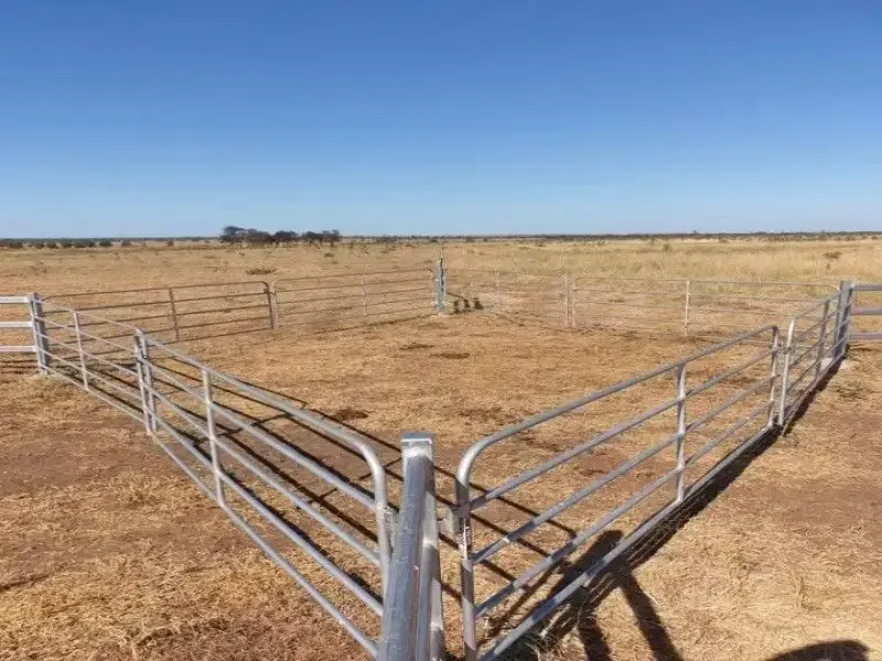 A metal fence surrounds a dry grass field. — D.T. Fencing In Bakers Creek, QLD