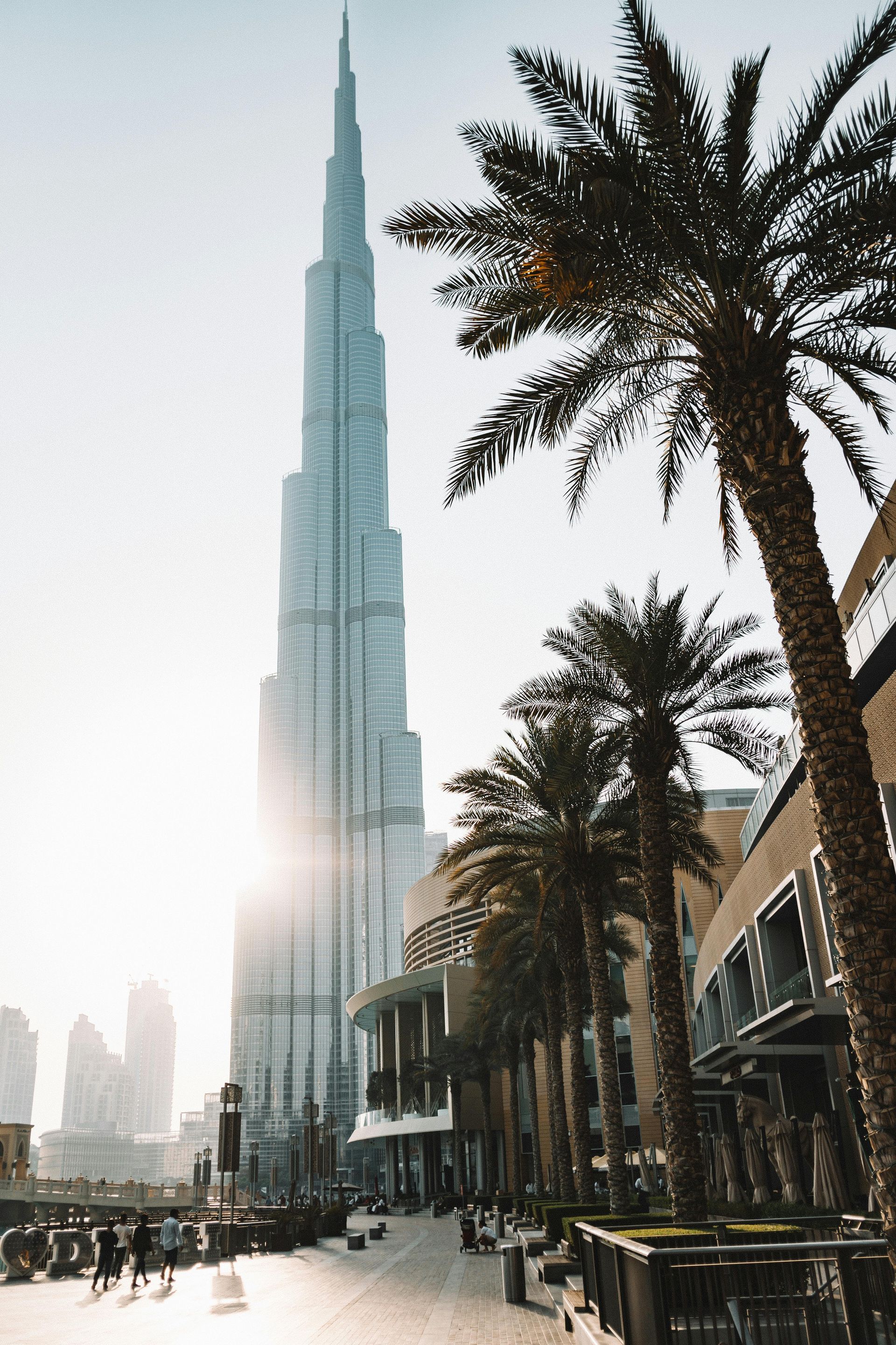 A tall building with a palm tree in front of it.