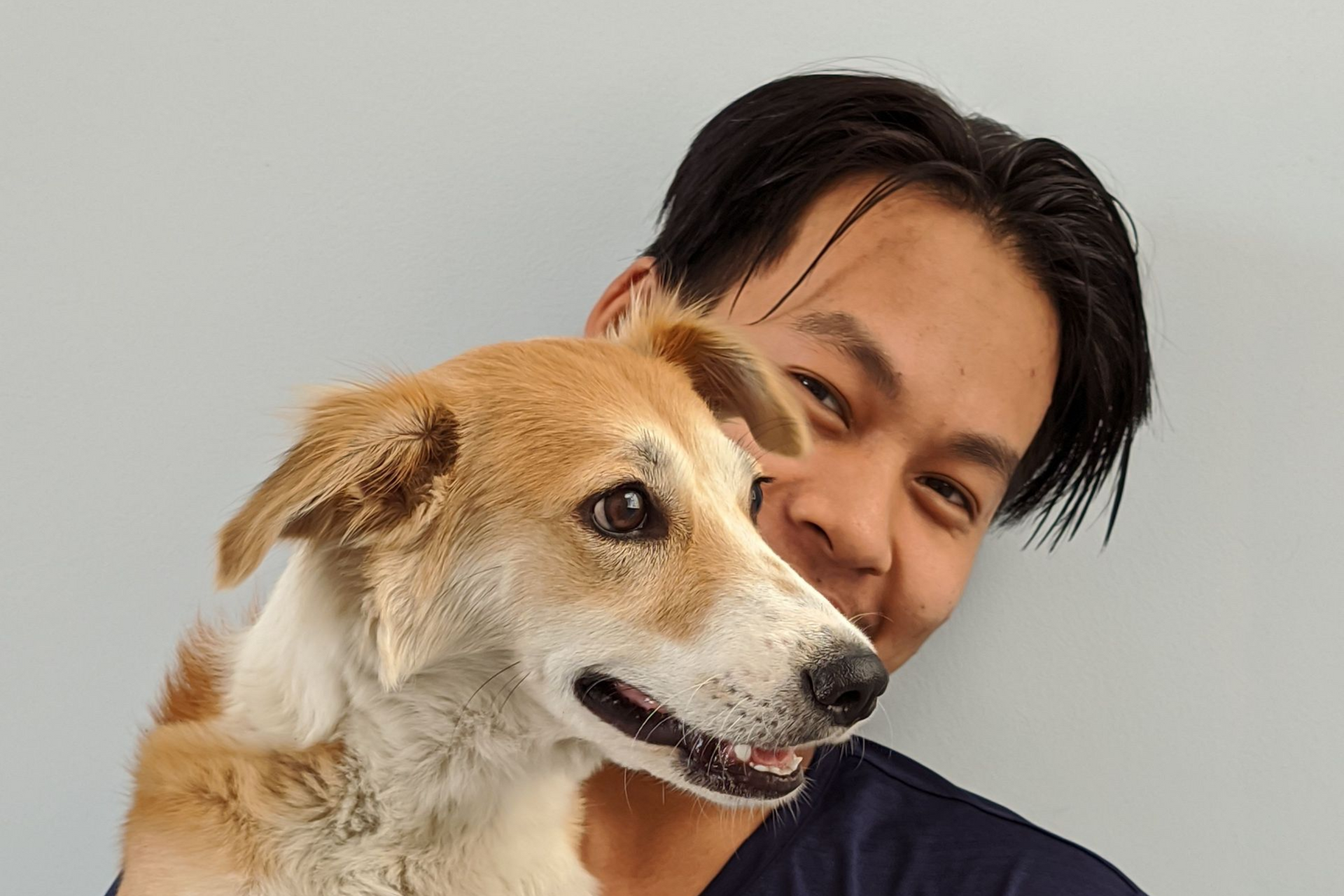 Person smiling behind a tan-and-white dog against a plain gray background