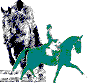 Horse Back Riding