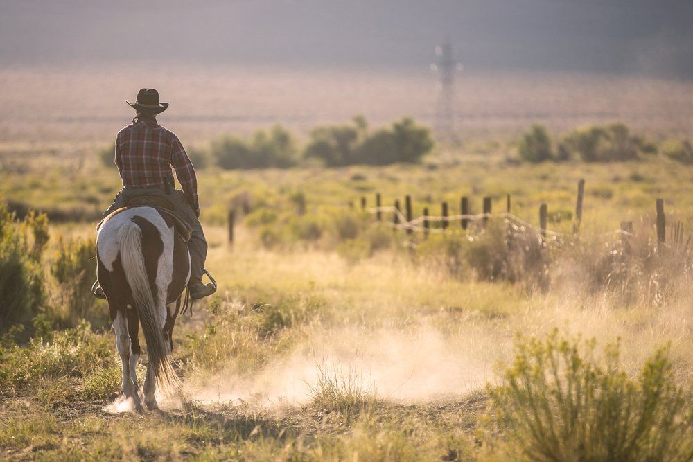 Cowboy Riding His Horse — Los Osos, CA — Los Osos Valley Equine Farm