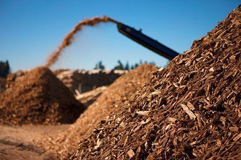 Piles of wood chips being discharged from a machine against a blue sky.