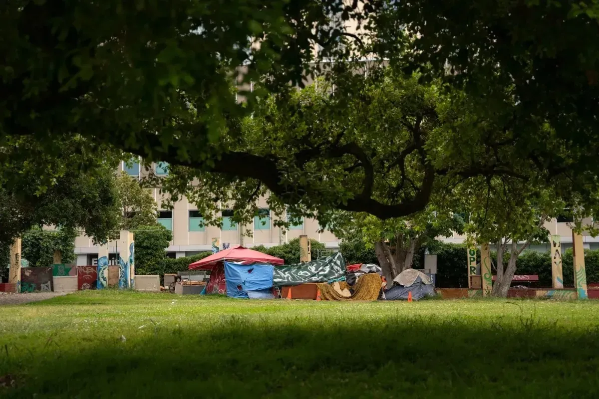 A group of tents are sitting under a tree in a park.