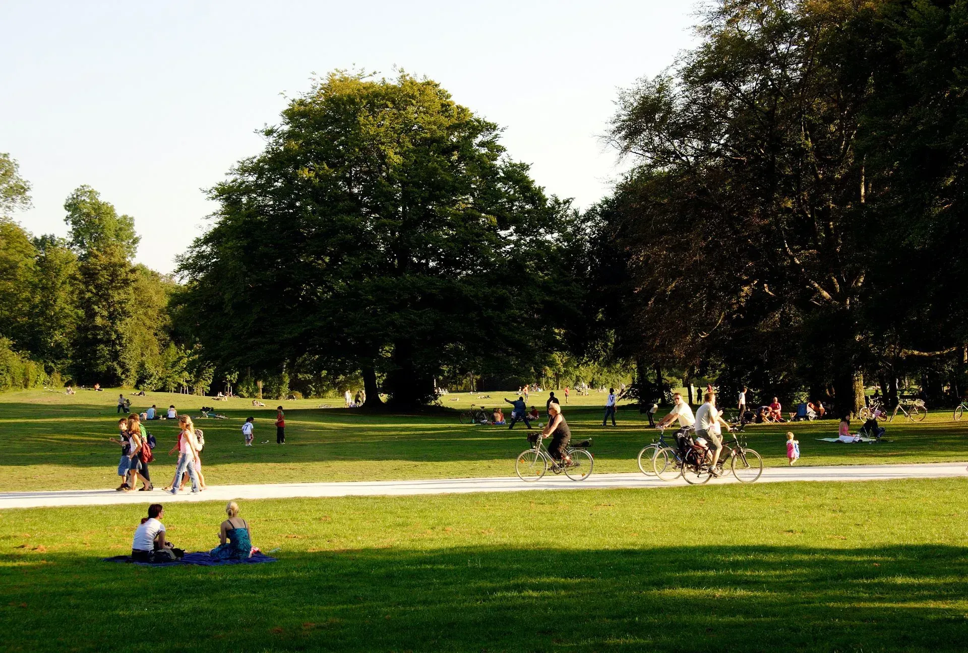 People walking and cycling in a sunny park with large green trees and open grass.