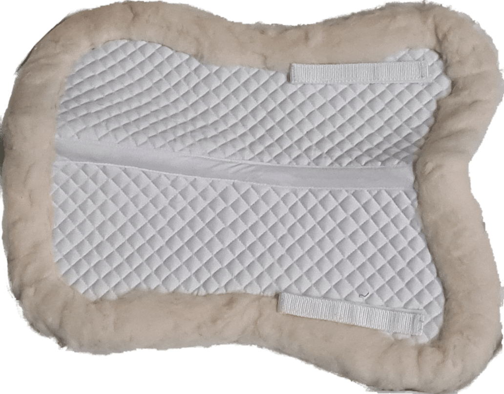 Bourkes Horse Rugs Horse & Dog Rugs in Bathurst