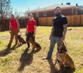 Four Dobermans in orange and black harnesses stand in the snow with a person behind them.