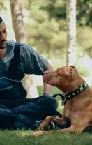 A person sits cross-legged on a grassy lawn in a park, looking at a tan dog wearing a spiked collar.