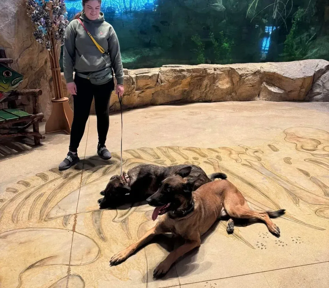 A person stands in a large indoor exhibit with a giant aquarium behind them, accompanied by two dogs lying on the floor.