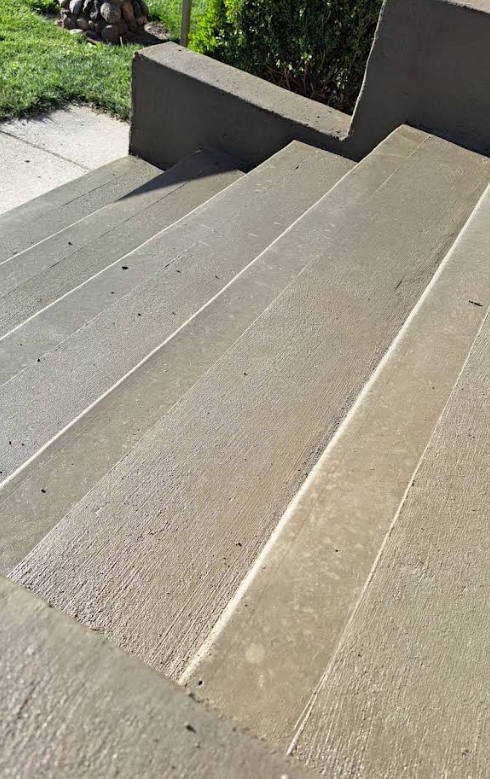 Concrete front steps with a smooth ramp beside them, leading up to a landing near greenery.
