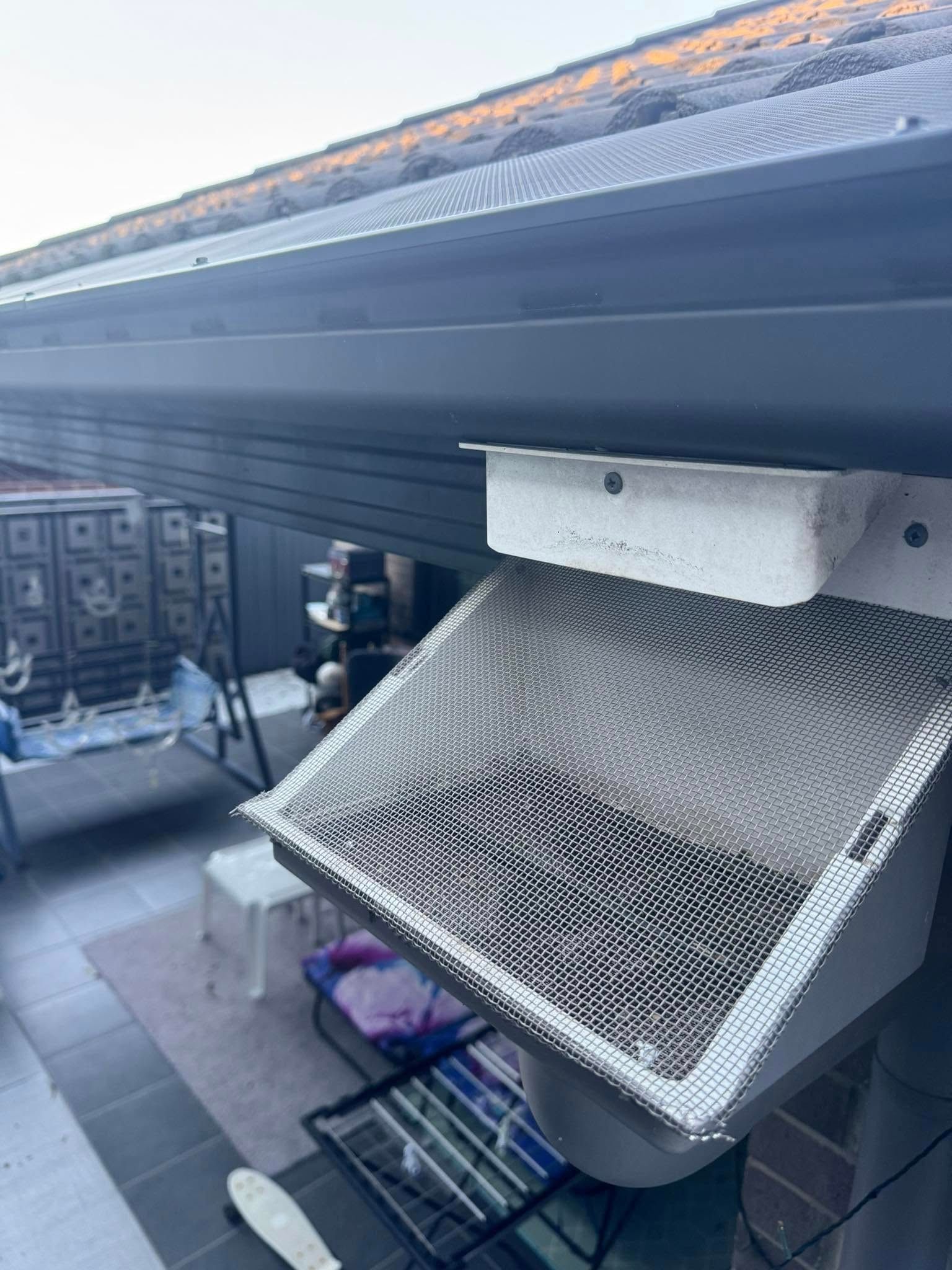 Bird Proofing | BD Gutter Guards