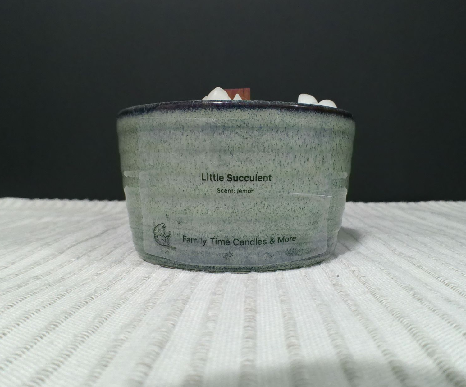 Little Succulent Scented Candle