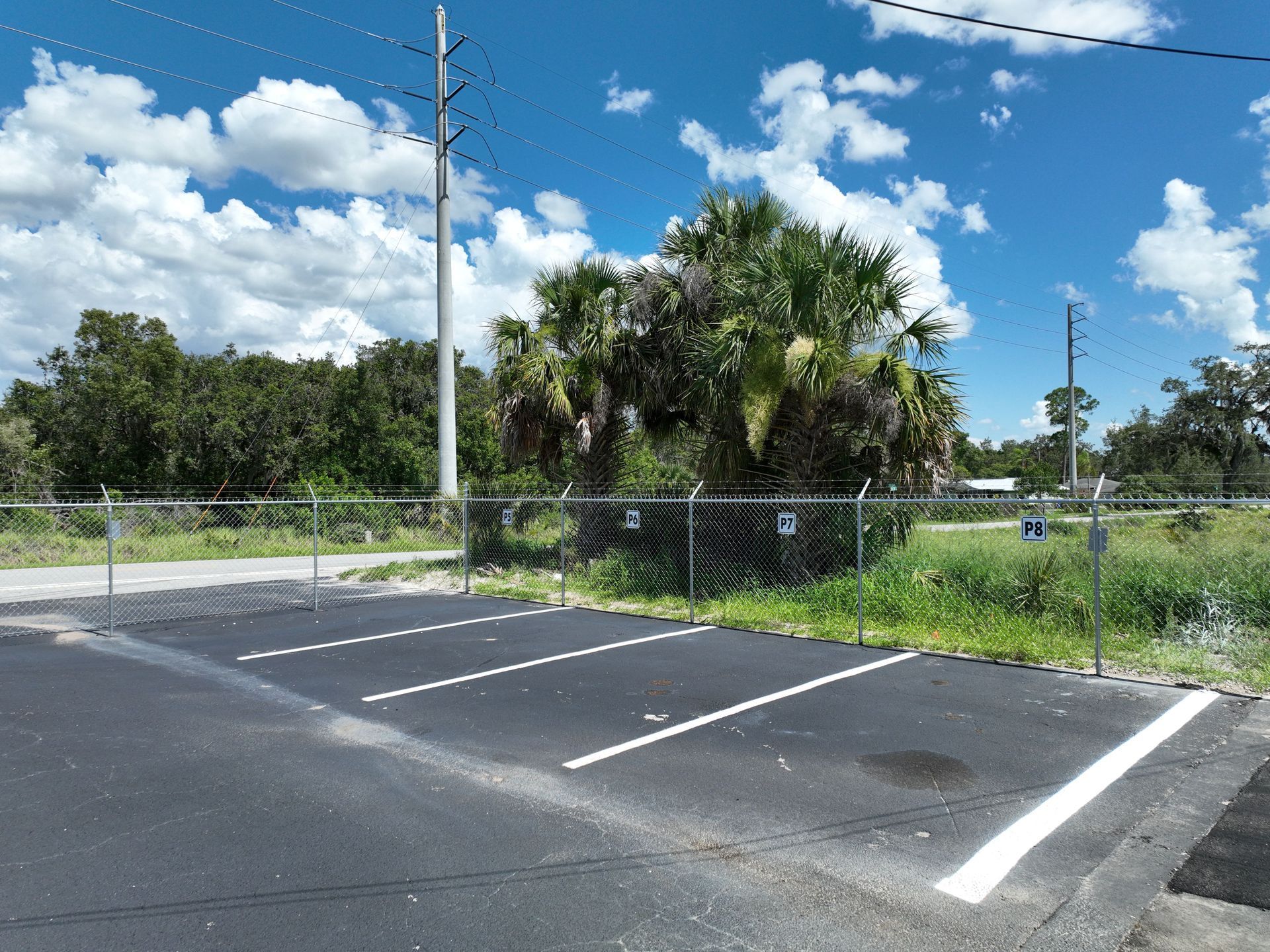 Numbered uncovered parking spaces P5 through P8 with palm trees