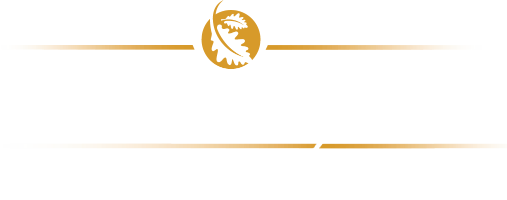 logo-image
