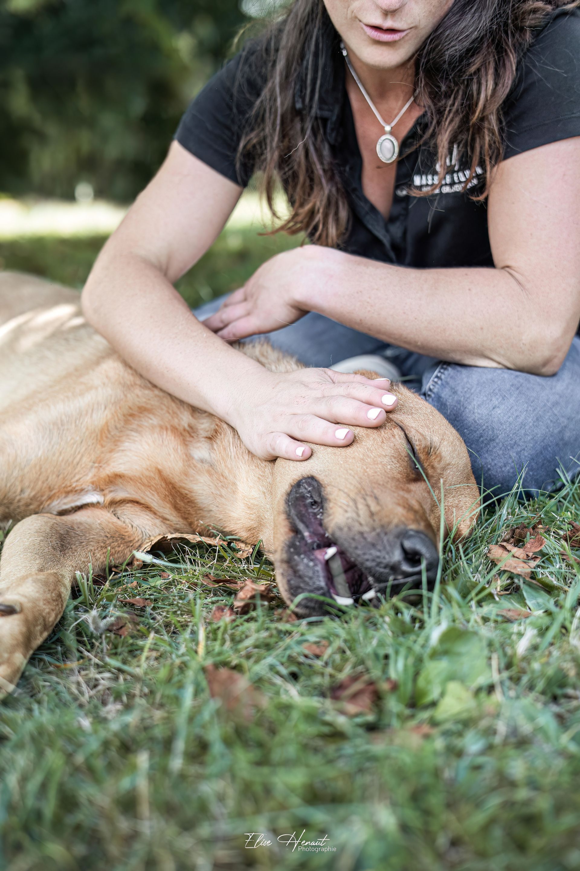 massage canin