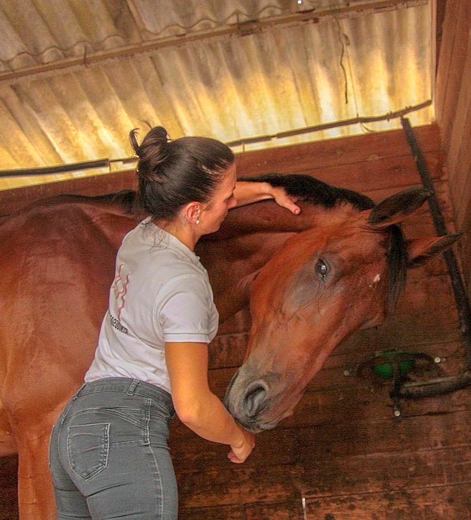 Permitted equin therapist Genève