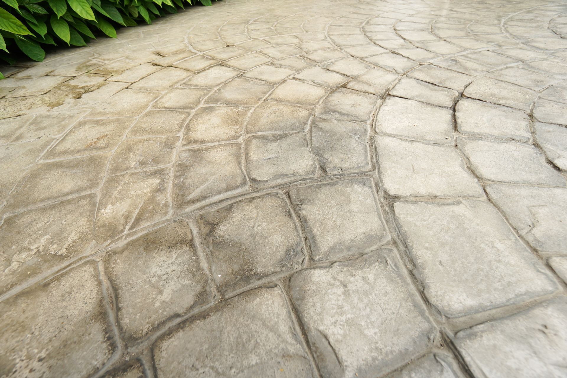 A close up of a brick walkway with a leafy hedge in the background in Vancouver, WA by NAVA Concrete LLC