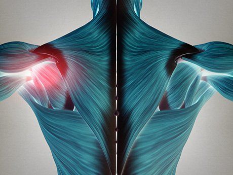 studio di fisioterapia