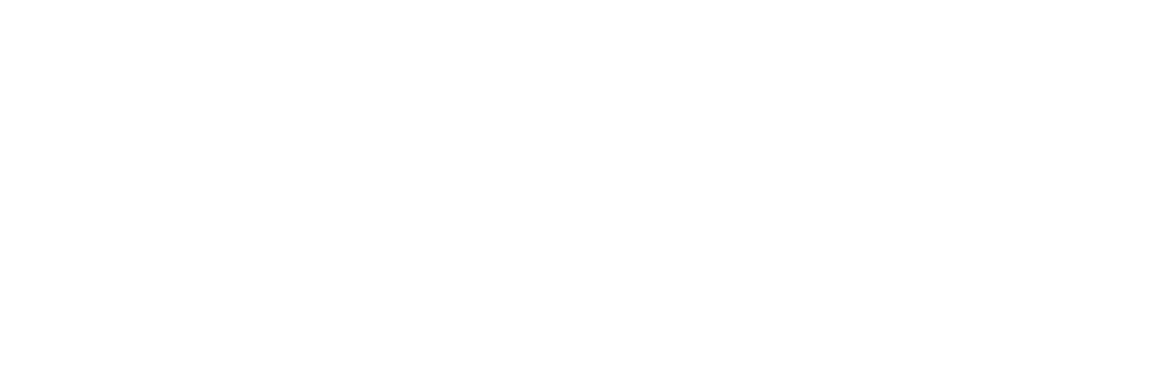 Toucan Digital Marketing