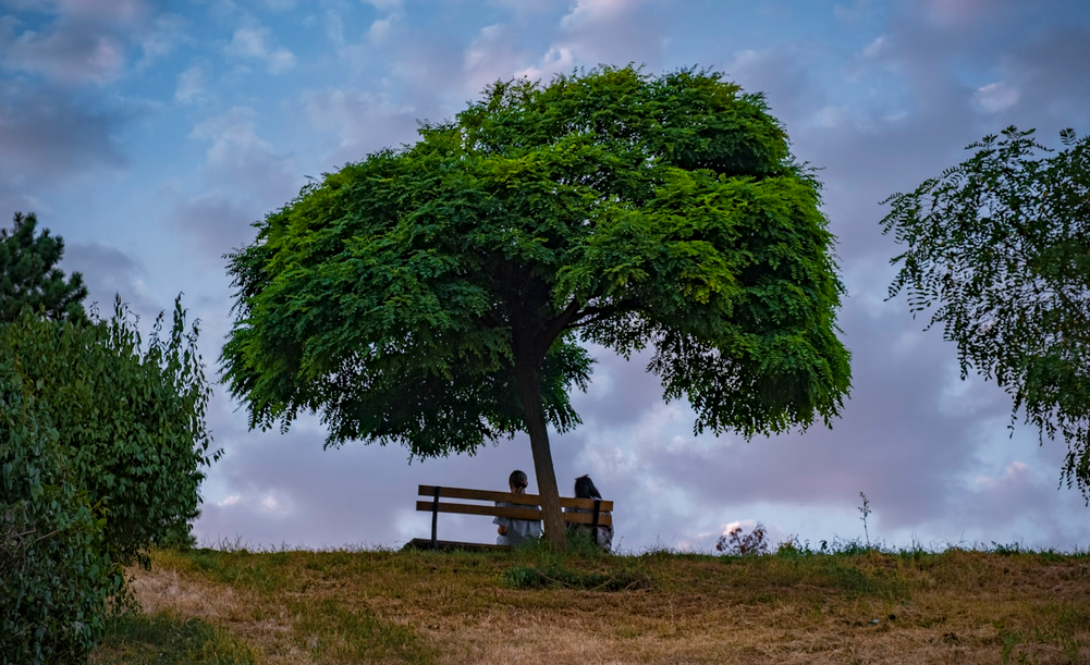 Baltimore, MD cremation services