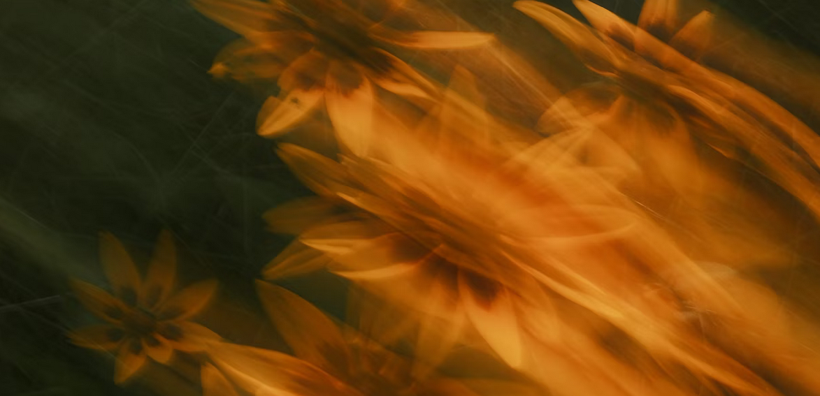Baltimore, MD funeral services