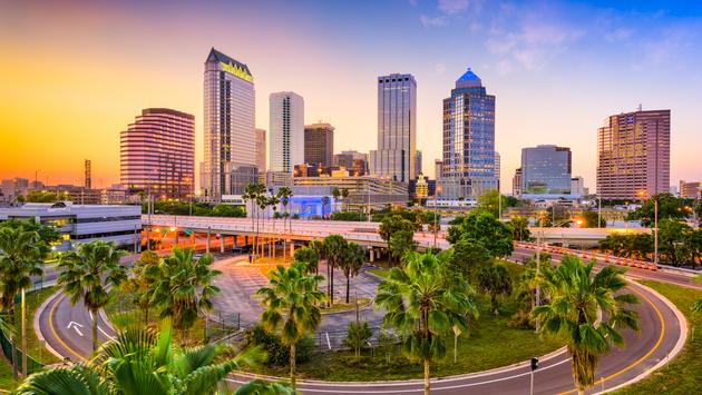 Tampa FL PEO