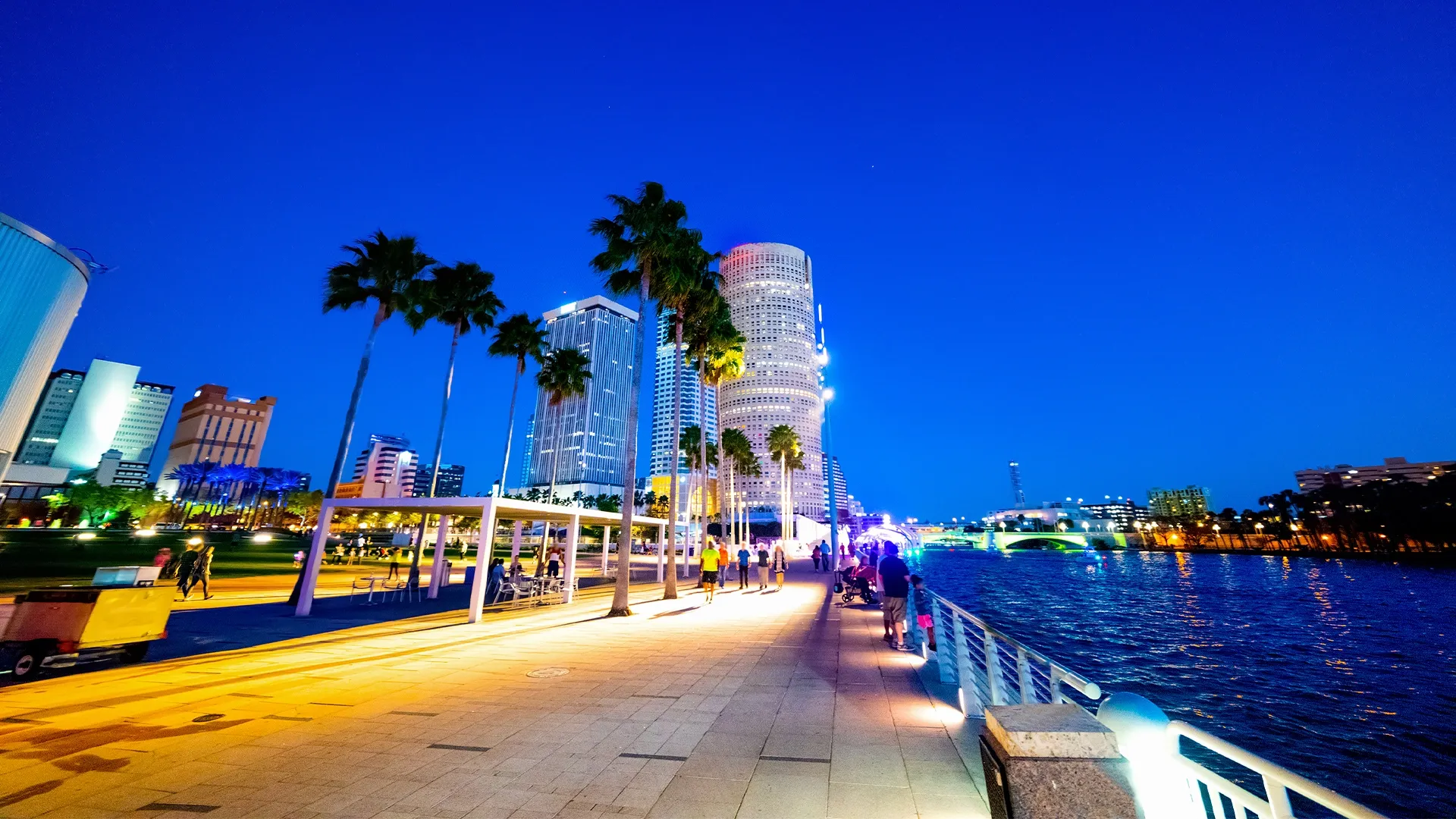 Tampa PEO