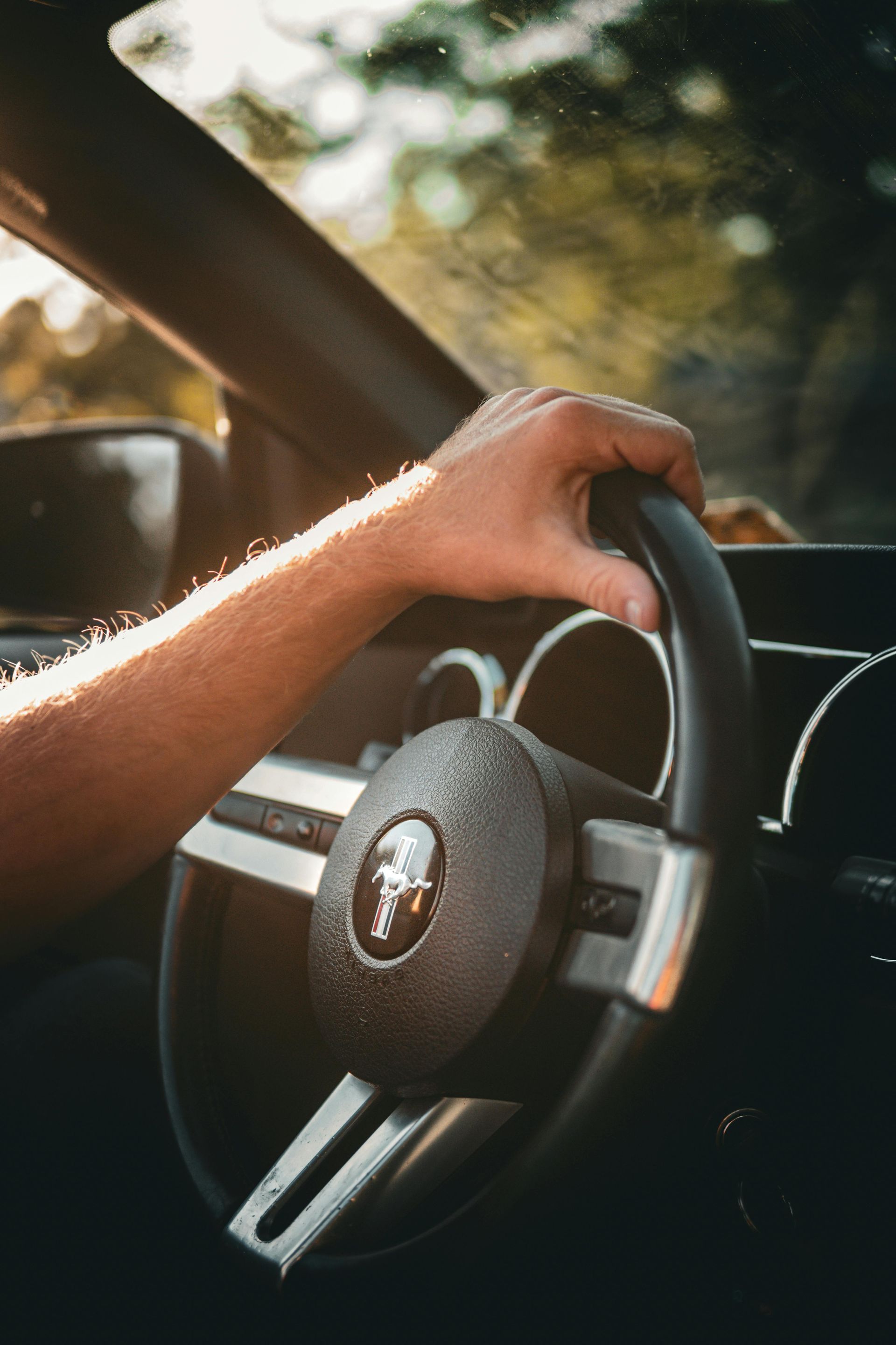 Hand on steering wheel inside a car, with sunlight and blurred trees outside.
