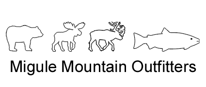 New Brunswick Canada hunting outfitter, New Brunswick hunting guide, Black bear hunting, Black bear hunt