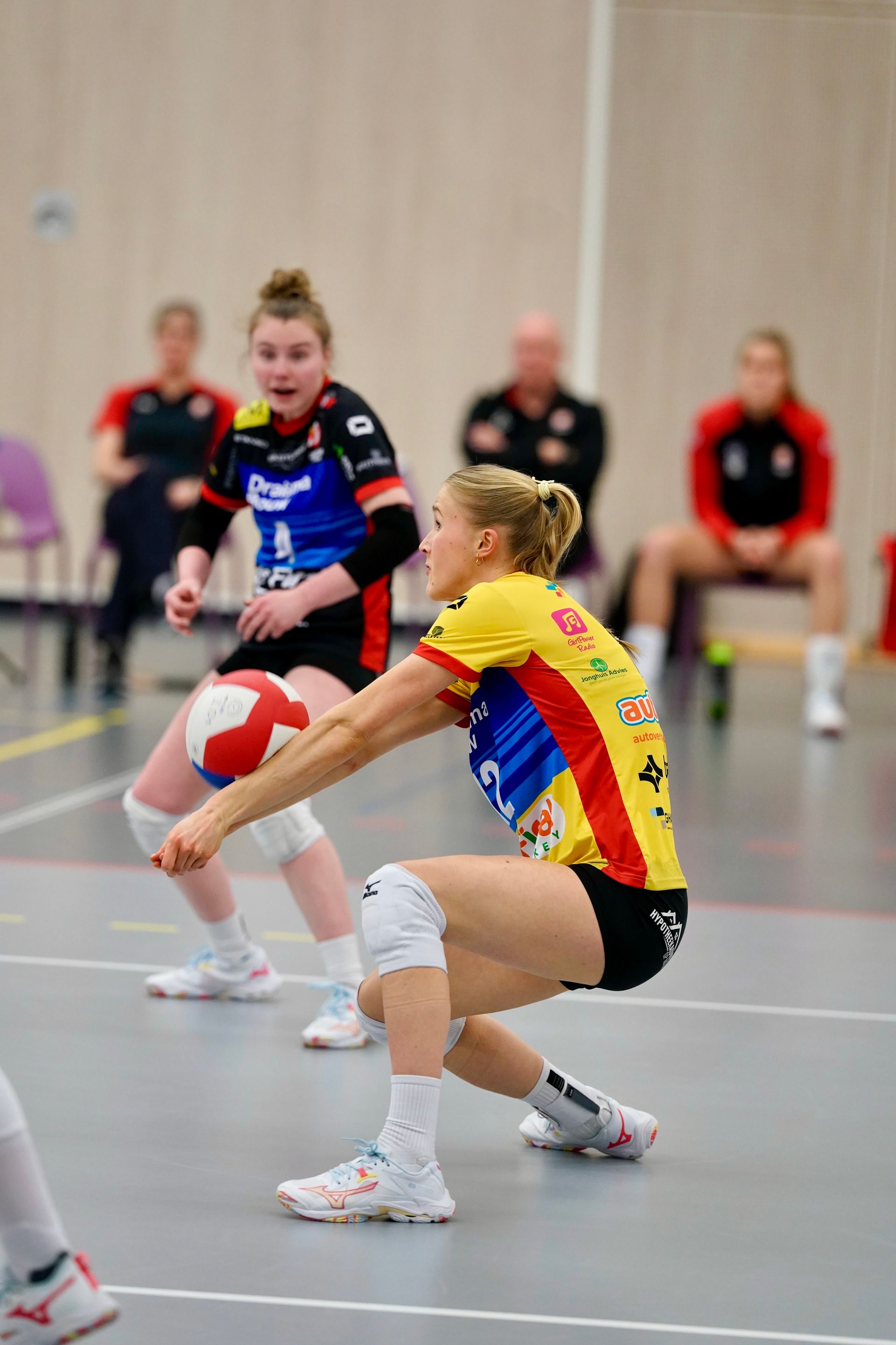 Pip Kok #12
©2026-Strikwerda Fotografie
Eredivisie volleybal 
Nevobo