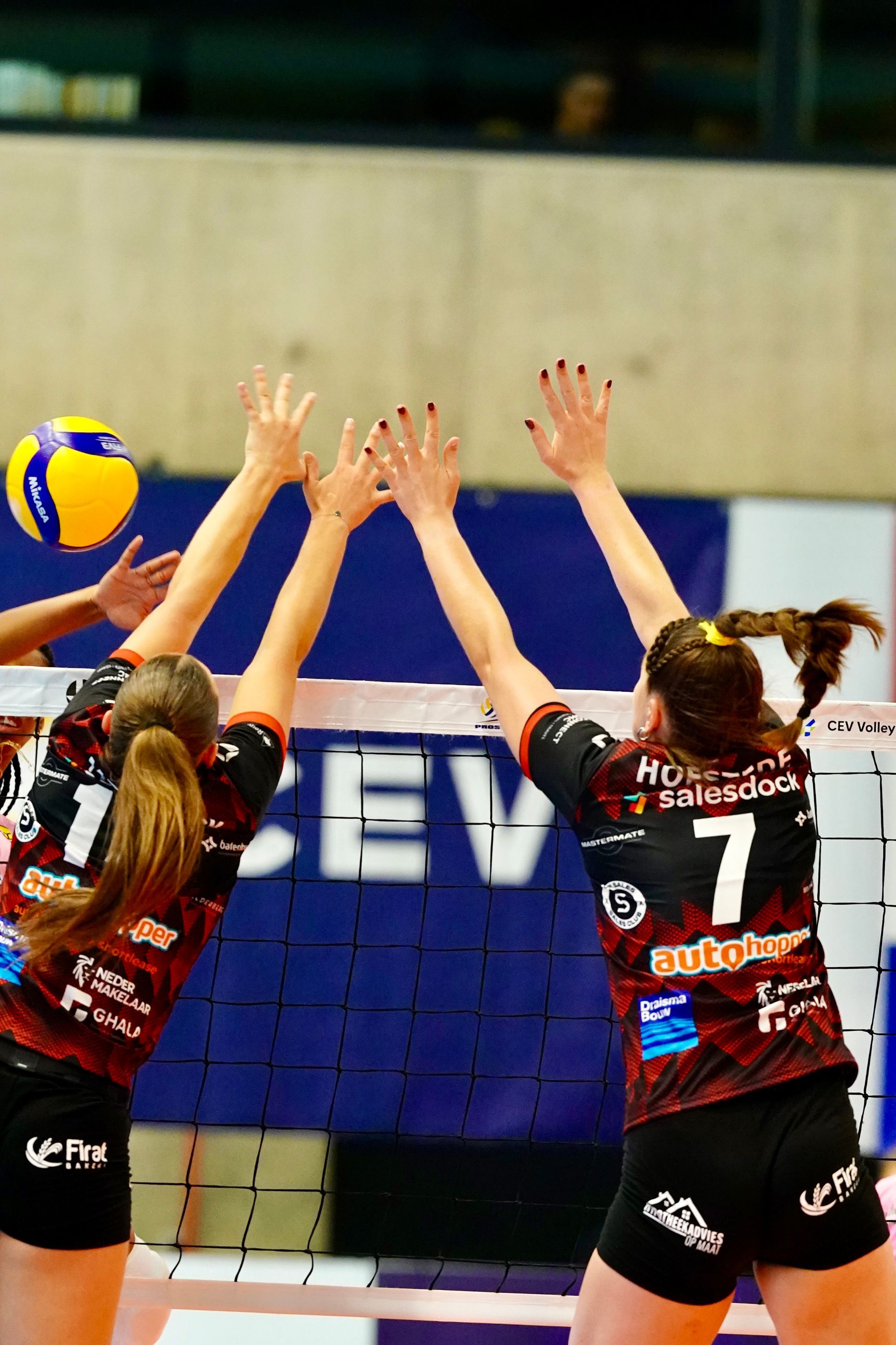 CEV Challenge cup
©2026-Strikwerda Fotografie
Eredivisie volleybal 
Nevobo