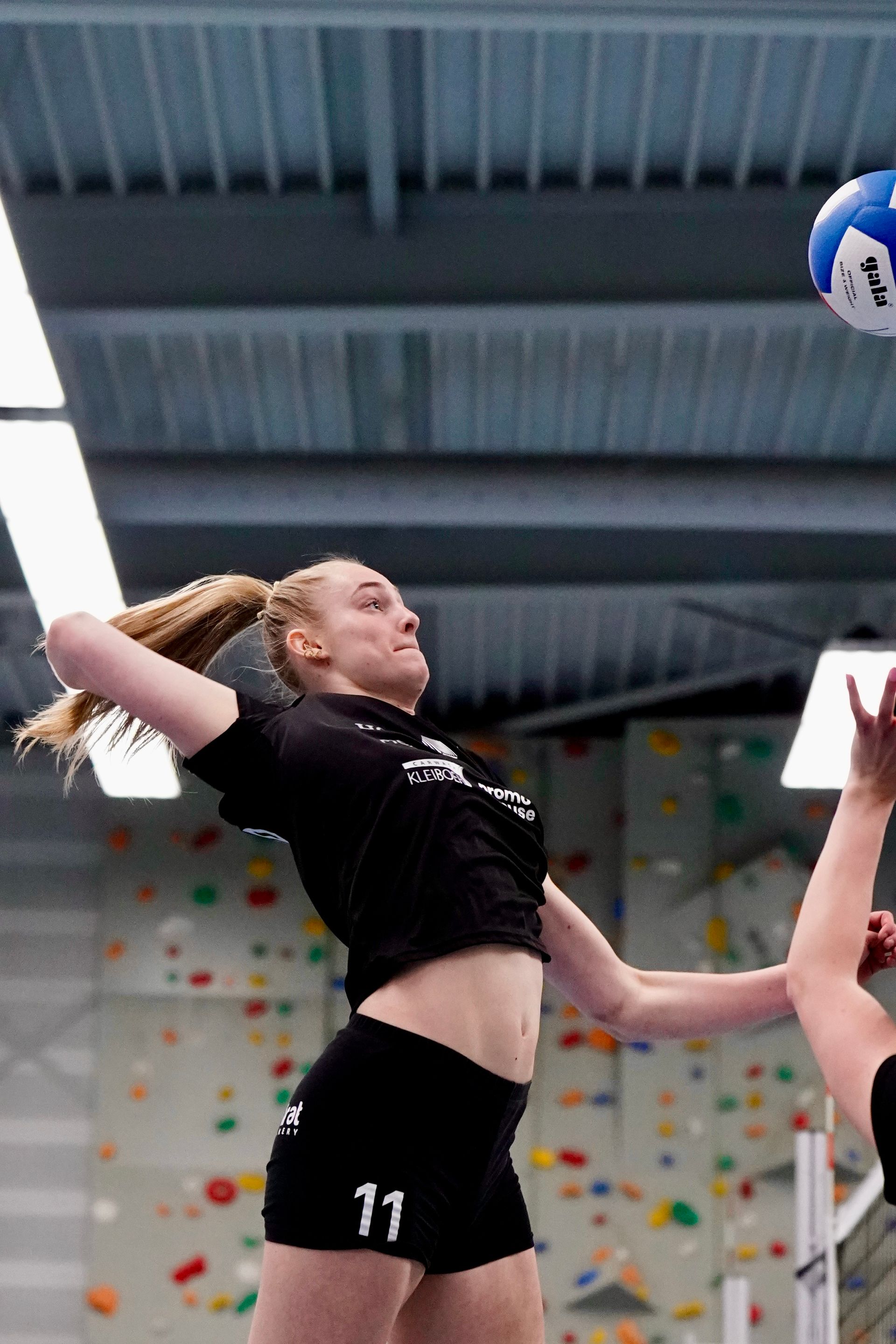 Susan Dambrink #11