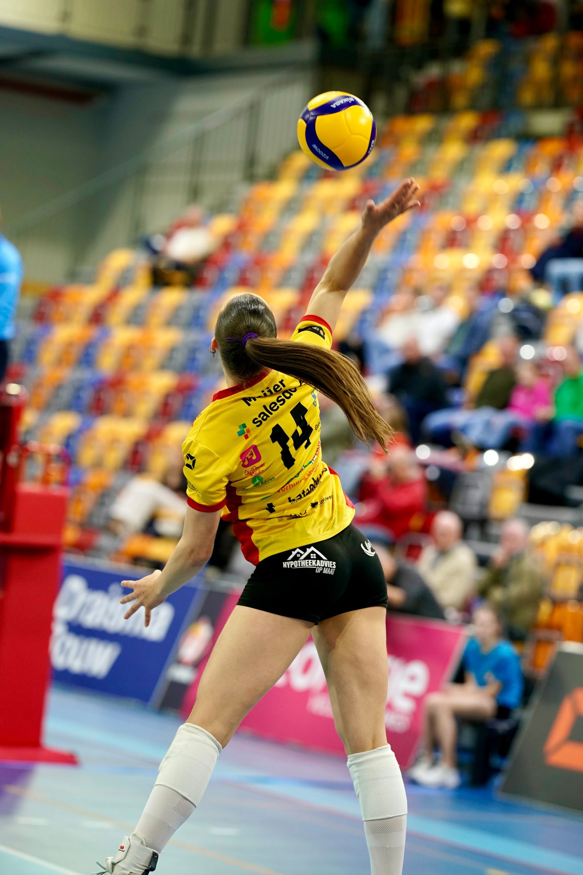Saar Meijer #14
©2026-Strikwerda Fotografie
Eredivisie volleybal 
Nevobo