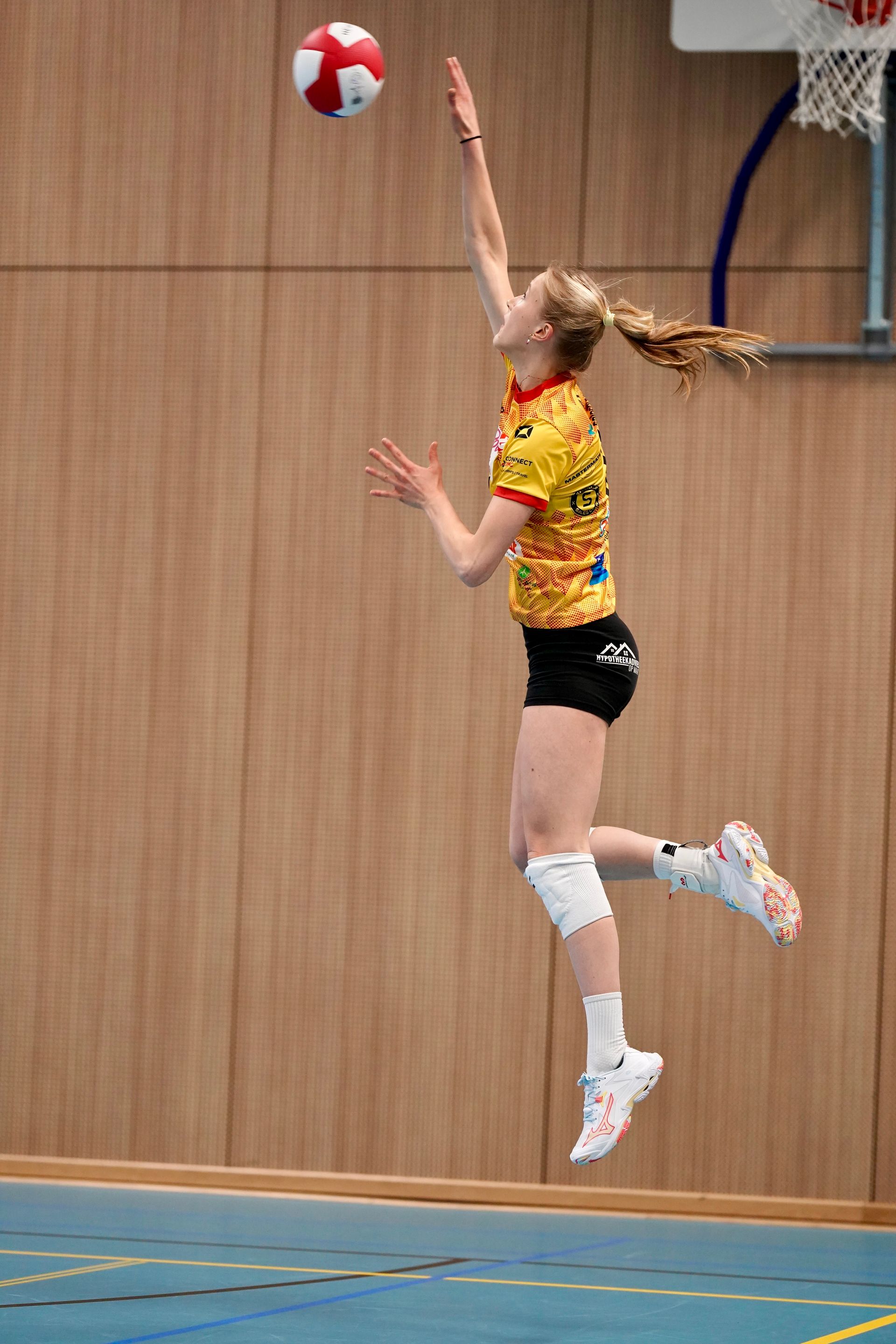 ©2026-Strikwerda Fotografie
Eredivisie volleybal 
Nevobo